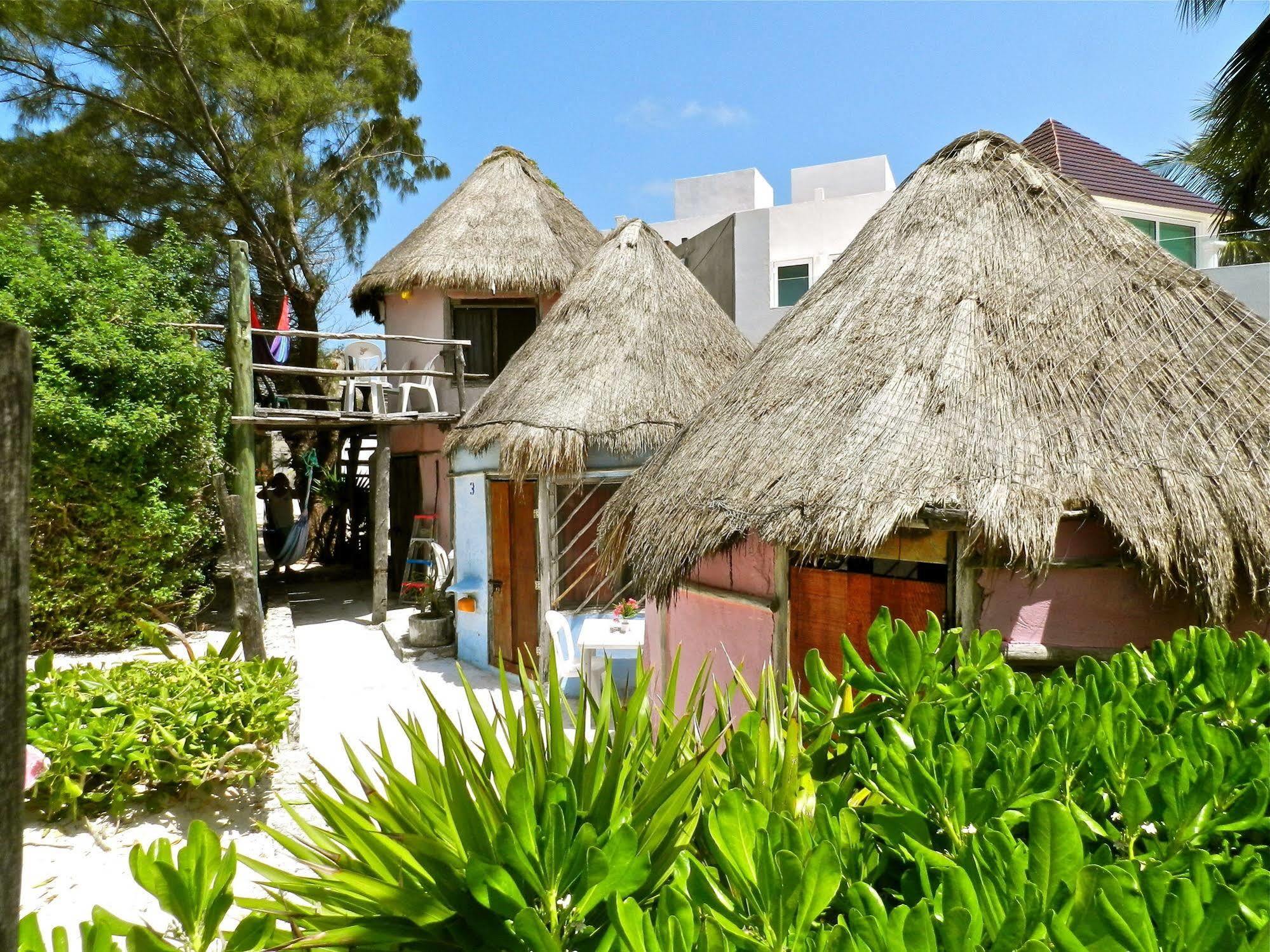 Acamaya Reef Cabanas Puerto Morelos Exteriér fotografie