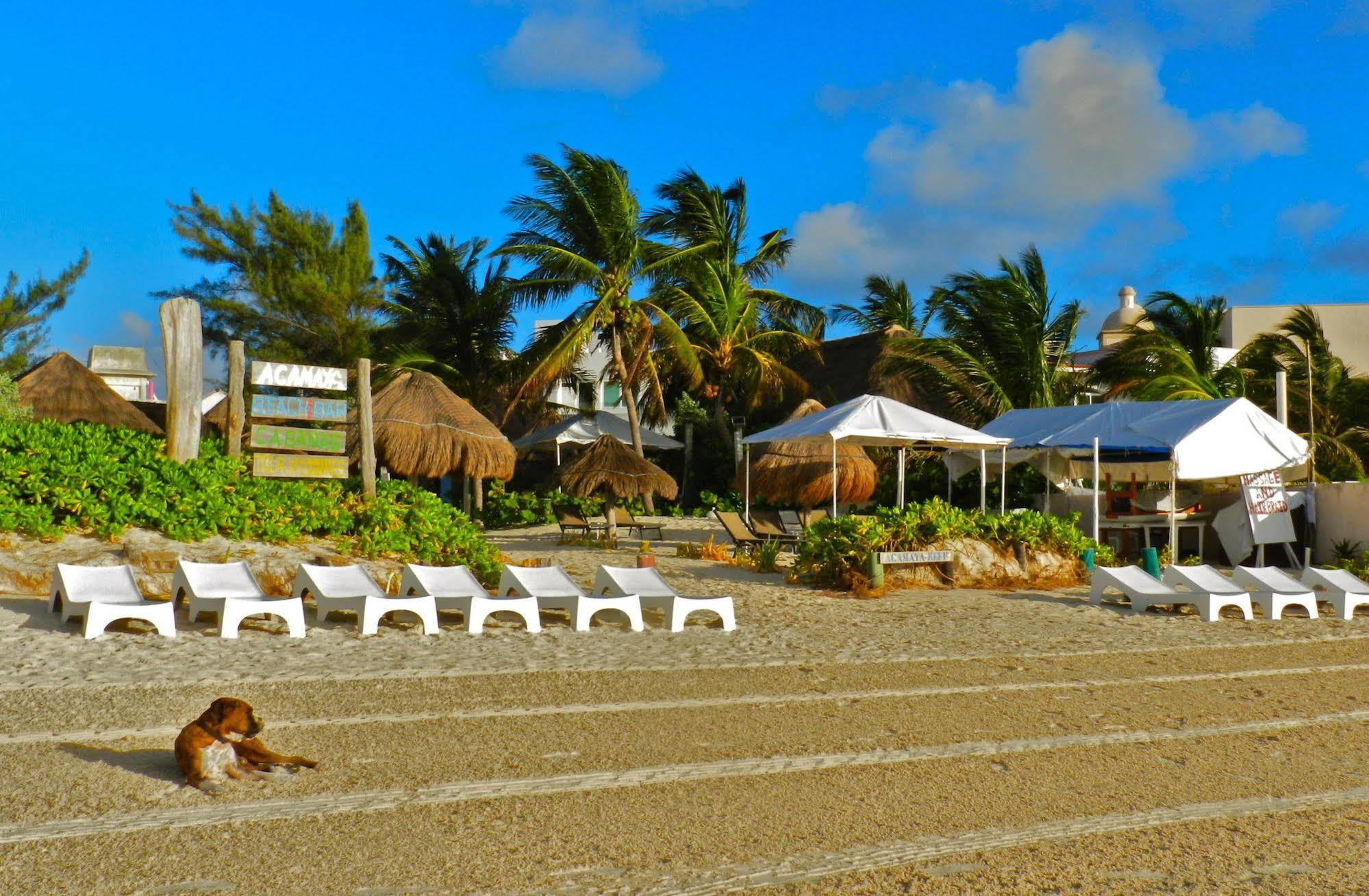 Acamaya Reef Cabanas Puerto Morelos Exteriér fotografie